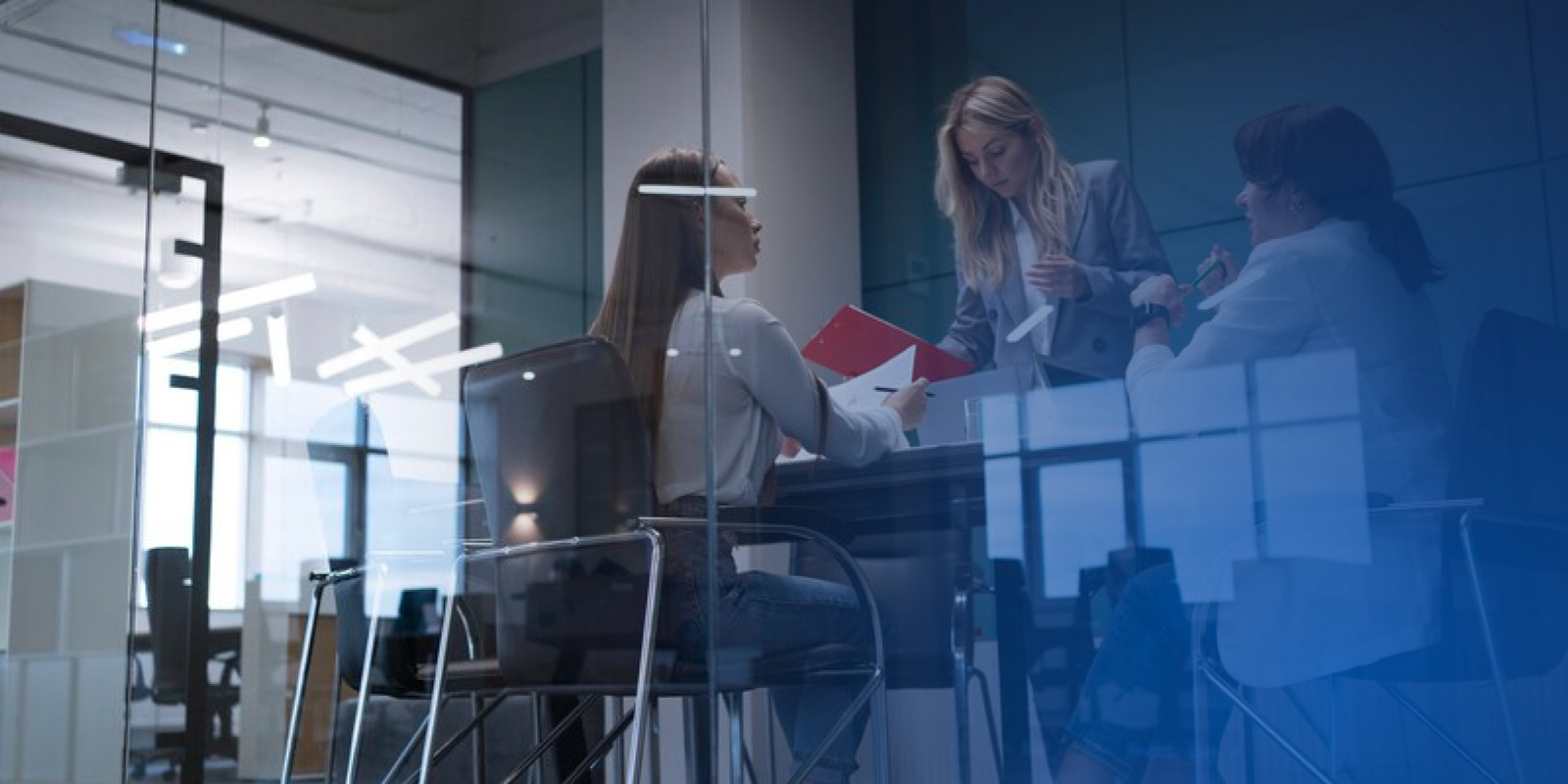 profesionales altamente calificados